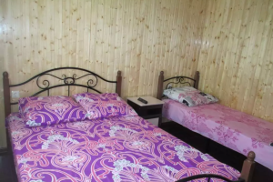 Изображение Изображение гостиницы "Гостевой дом «У Аиды»" #9 #1