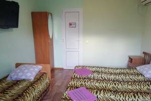 Изображение Изображение гостиницы "Гостевой дом «У Людмилы»" #9 #1