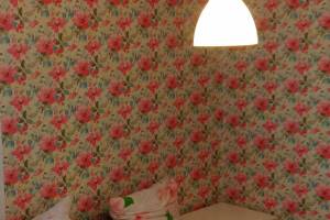 Изображение Изображение гостиницы "Гостевой дом «Marus»" #10 #2