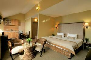 Изображение Изображение гостиницы "SPA-Hotel&Wellness «La Terrassa»" #11 #3