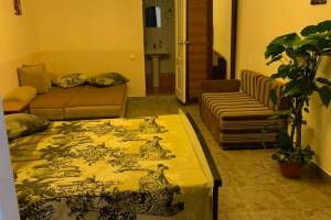 Изображение Изображение гостиницы "Отель «Персей»" #13 #5