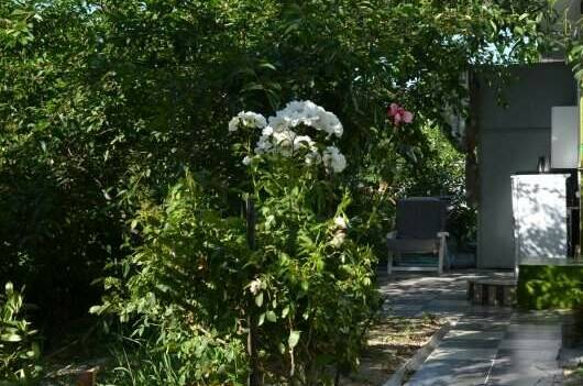 Изображение Изображение гостиницы &quot;Гостевой дом «Яна»&quot; #5 #5