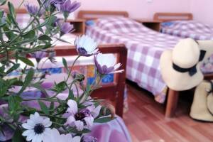 Изображение Изображение гостиницы "Гостевой дом «Диана»" #13 #5