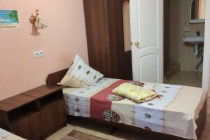 Изображение Изображение гостиницы "Гостевой дом «Дарья»" #10 #2