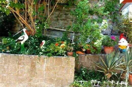 Изображение Изображение гостиницы &quot;Гостевой дом «Кипарис»&quot; #8 #8