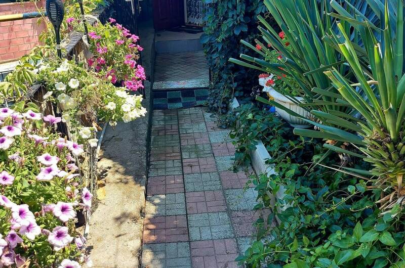 Изображение Изображение отеля / гостиницы "Гостевой дом «Кипарис»" #11 #9