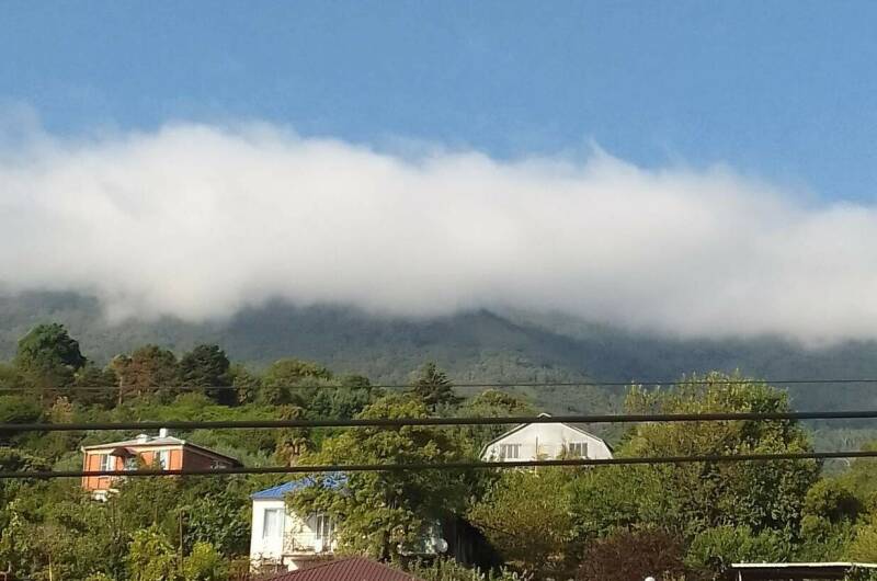 Изображение Изображение гостиницы "Гостевой дом на Сухумском шоссе" #2 #2