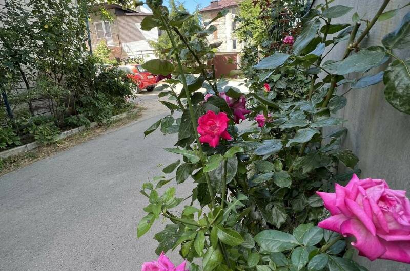 Изображение Изображение гостиницы &quot;Гостевой дом у моря «9 Граней»&quot; #6 #6