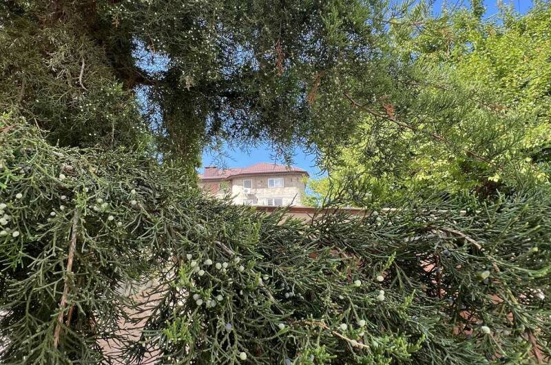 Изображение Изображение гостиницы &quot;Гостевой дом у моря «9 Граней»&quot; #8 #8