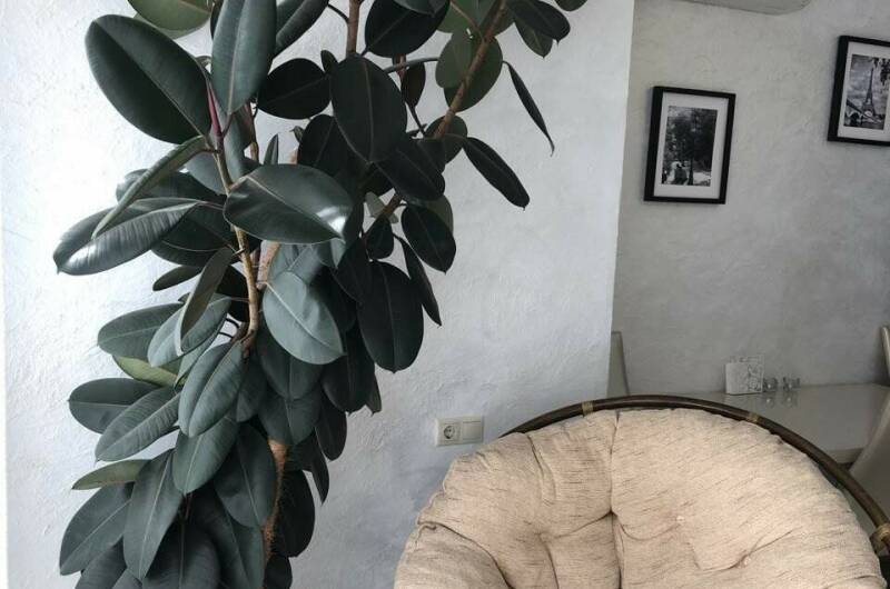 Изображение Изображение квартиры &quot;Однокомнатная квартира ЖК «Легенда»&quot; #7 #7