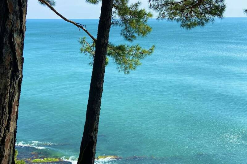 Изображение Изображение квартиры / апартамента "Квартира в п. Сосновый" #11 #9