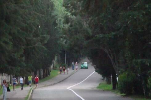 Изображение Изображение квартиры "Небольшая студия рядом с морем" #4 #4