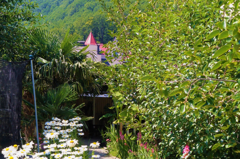 Изображение Изображение гостиницы "Частный дом «Атолл»" #4 #4