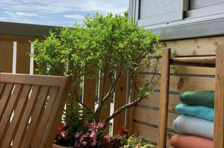 Изображение Изображение гостиницы &quot;Отель «Гармония»&quot; #3 #3