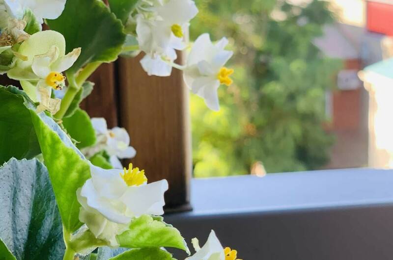 Изображение Изображение гостиницы &quot;Отель «Гармония»&quot; #4 #4