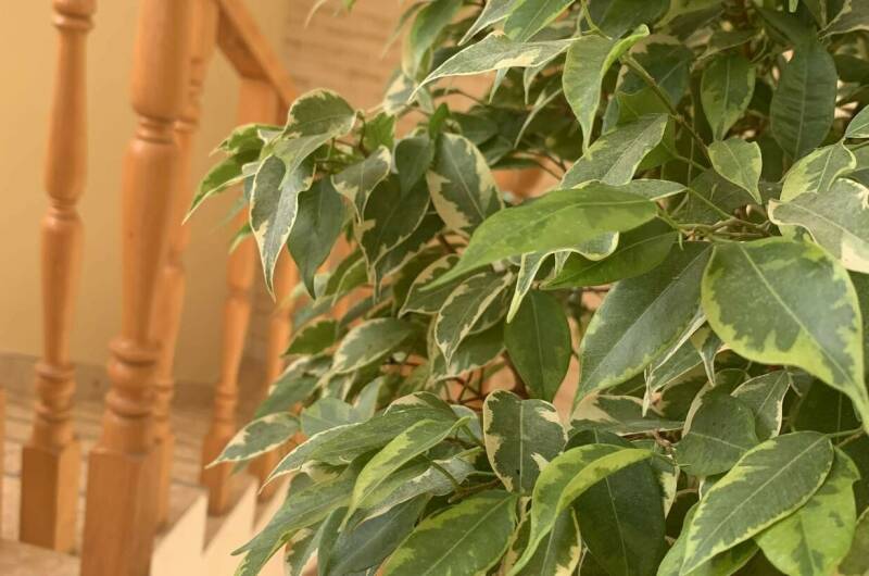 Изображение Изображение гостиницы &quot;Отель «Гармония»&quot; #6 #6