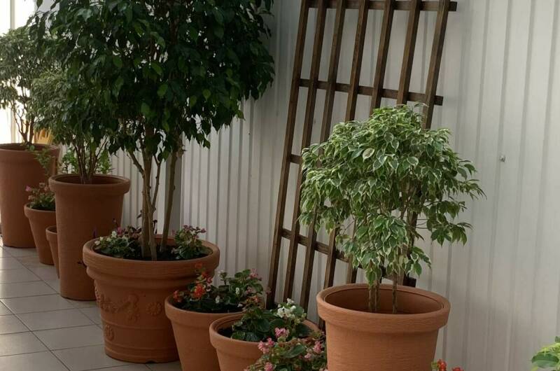 Изображение Изображение гостиницы &quot;Отель «Гармония»&quot; #7 #7