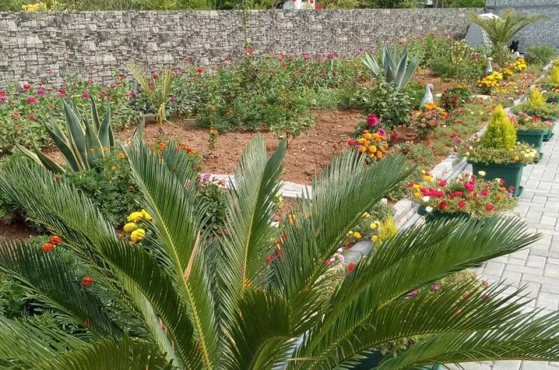 Изображение Изображение гостиницы &quot;Гостевой дом «У Сюзанны»&quot; #2 #2