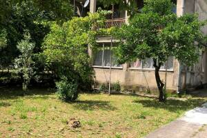 Изображение квартиры / апартамента "Этаж под ключ «Месхи»"