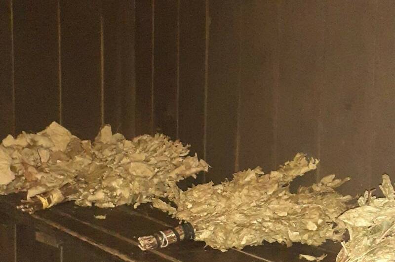 Изображение Изображение гостиницы "Гостевой дом «У моря»" #8 #8