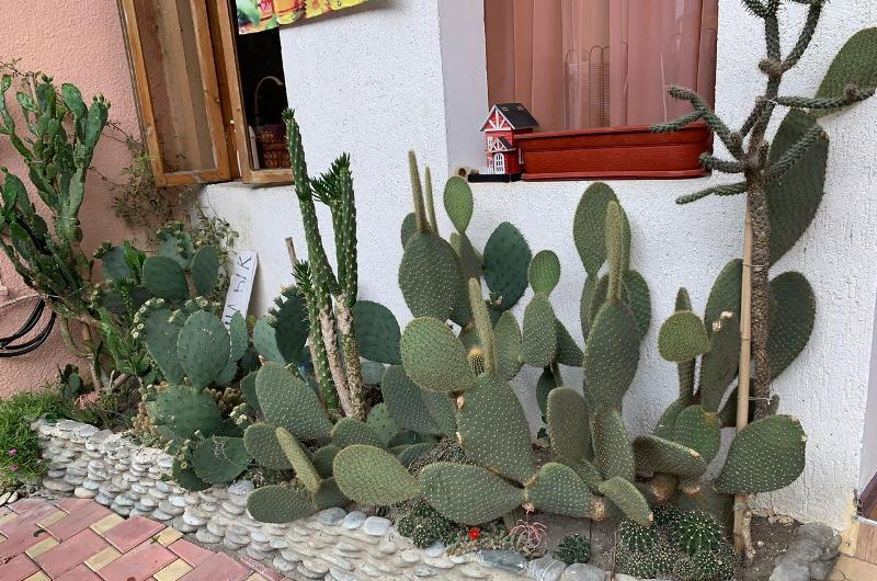 Изображение Изображение гостиницы "Гостевой дом «Анита»" #5 #5