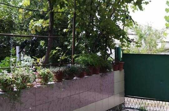 Изображение Изображение гостиницы "Частный сектор «Анаида»" #2 #2