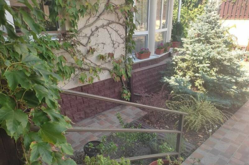 Изображение Изображение гостиницы &quot;Гостевой дом «Камелия»&quot; #4 #4