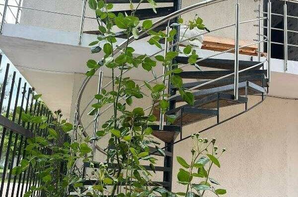 Изображение Изображение гостиницы "Гостевой дом «У Дамира»" #3 #3