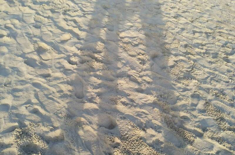 Изображение Изображение гостиницы &quot;Гостевой дом «Троя»&quot; #3 #3