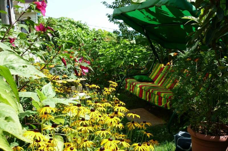 Изображение Изображение квартиры "Дом у моря" #1 #1