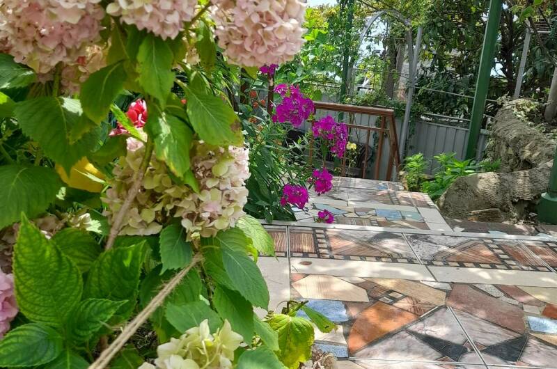 Изображение Изображение квартиры "Дом у моря" #4 #4