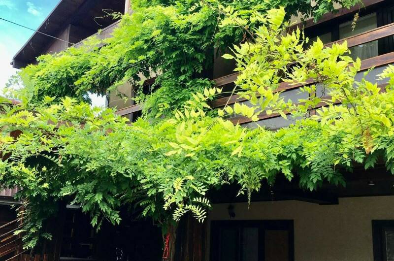 Изображение Изображение гостиницы &quot;Гостевой дом «Шале»&quot; #1 #1