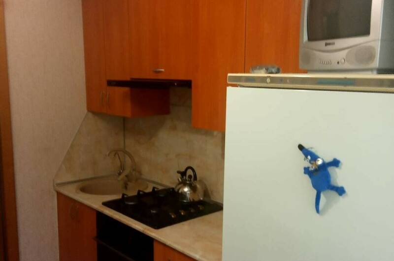 Изображение Изображение квартиры &quot;Квартира на Газовиков 2&quot; #3 #3