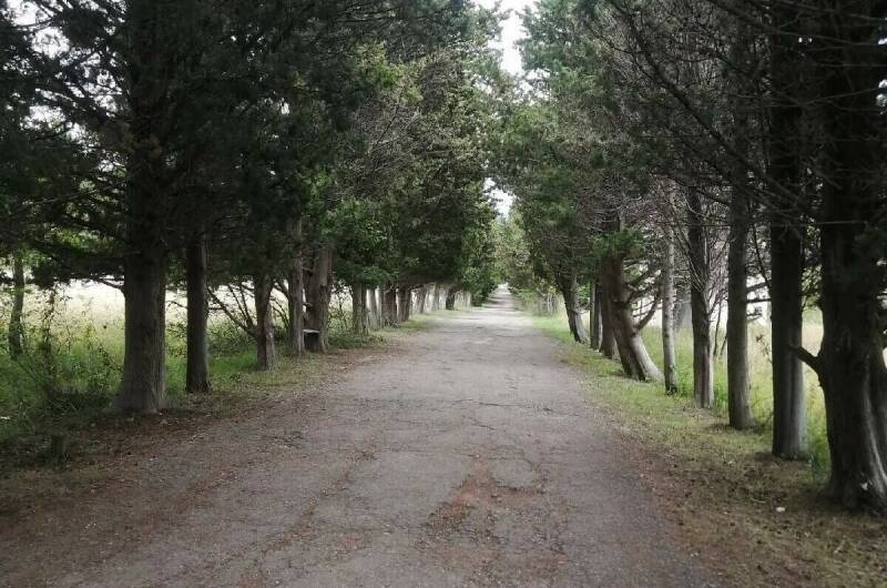 Изображение Изображение гостиницы &quot;Частный дом «Вишенка»&quot; #2 #2