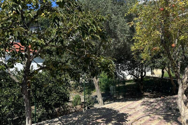 Изображение Изображение гостиницы "Гостевой дом «Пляжный Дом»" #4 #4