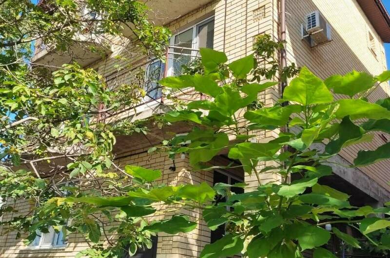 Изображение Изображение квартиры &quot;Часть дома под ключ «Лофт» до 4 человек&quot; #5 #5