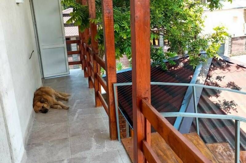 Изображение Изображение гостиницы "Гостевой дом «У Саида»" #5 #5