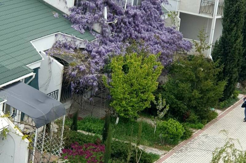 Изображение Изображение квартиры &quot;Апартаменты 40 м² в 200 метрах от моря&quot; #4 #4