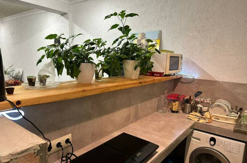 Изображение Изображение гостиницы "База отдыха «Baga Hotel»" #8 #8