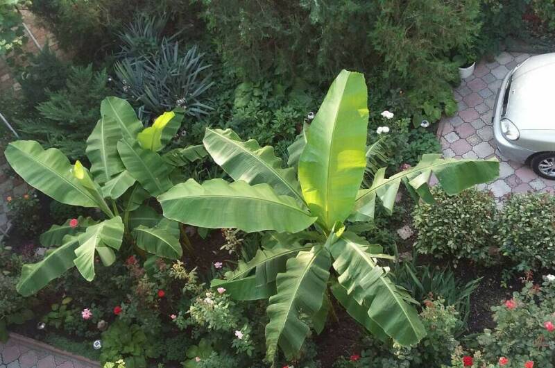 Изображение Изображение гостиницы &quot;Гостевой дом «Вега»&quot; #6 #6