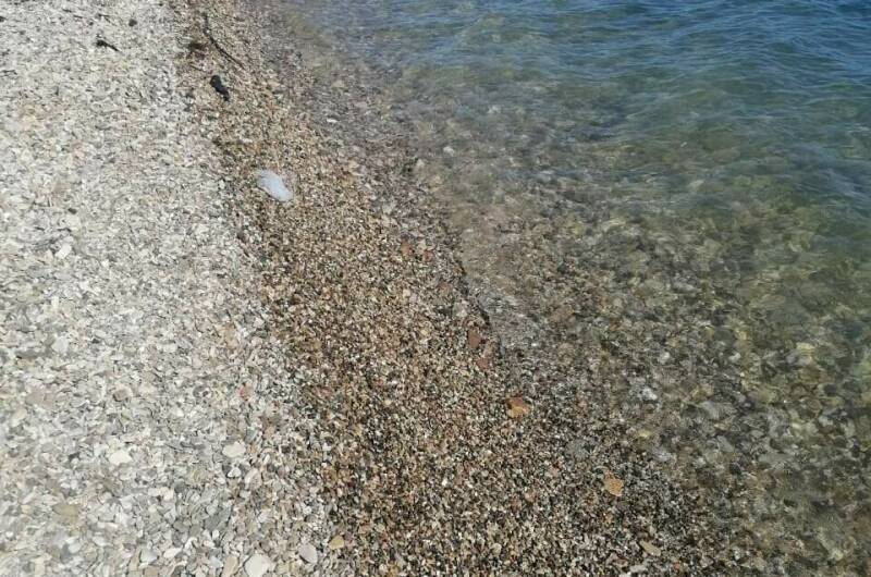 Изображение Изображение квартиры &quot;Домик у моря&quot; #2 #2