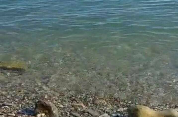 Изображение Изображение квартиры / апартамента "Домик у моря" #10 #8