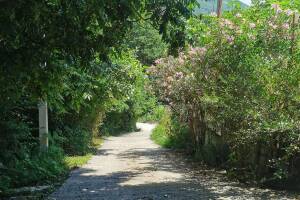 Изображение квартиры "Дом в национальном парке"