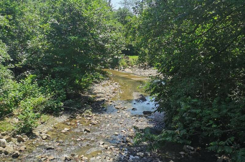 Изображение Изображение квартиры &quot;Дом в национальном парке&quot; #2 #2