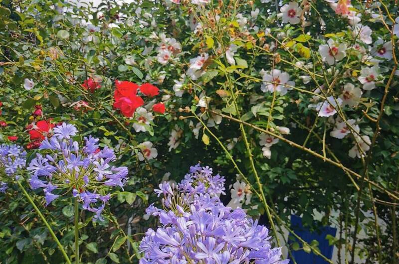 Изображение Изображение квартиры &quot;Дом в национальном парке&quot; #3 #3