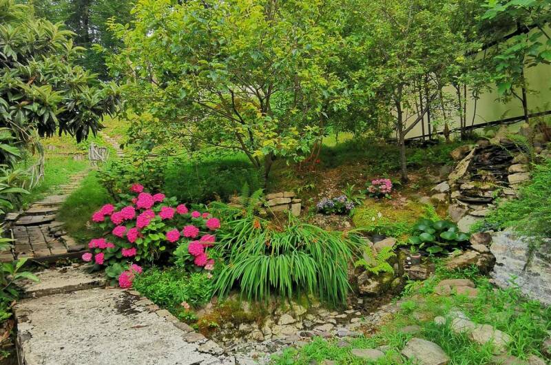 Изображение Изображение квартиры &quot;Дом в национальном парке&quot; #7 #7