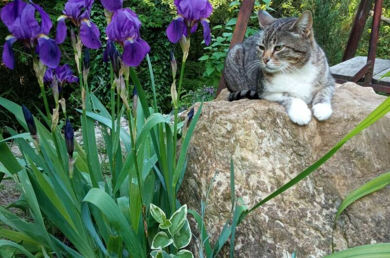 Изображение Изображение квартиры "Апартаменты «Веста»" #4 #4