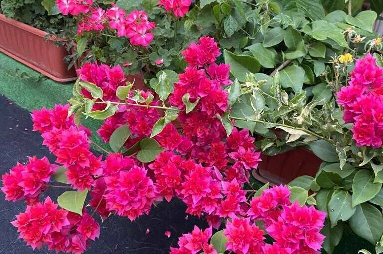 Изображение Изображение гостиницы &quot;Частный дом «Благодать»&quot; #2 #2