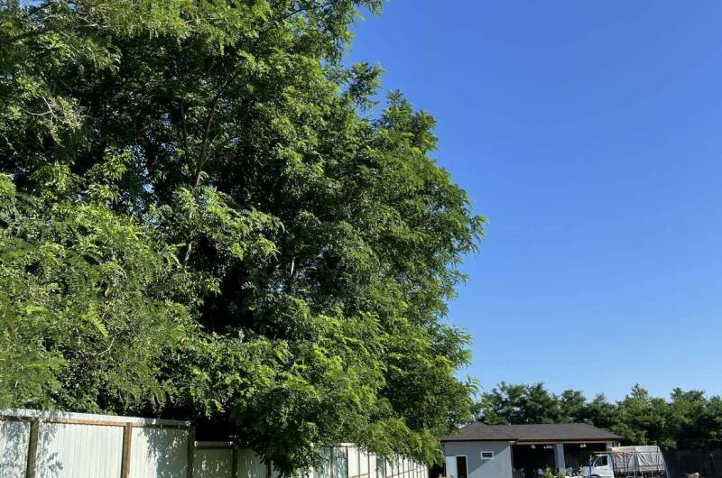 Изображение Изображение гостиницы "ЭКО Отель «Лыхны»" #6 #6