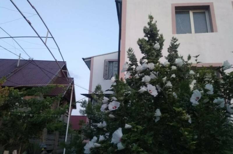 Изображение Изображение гостиницы &quot;Гостевой дом «Александра»&quot; #1 #1